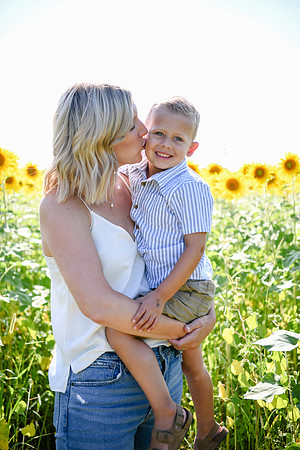 Sunflowers [Hutchinson] 024