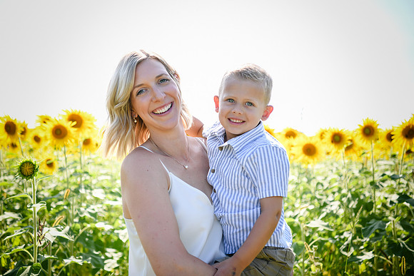 Sunflowers [Hutchinson] 026