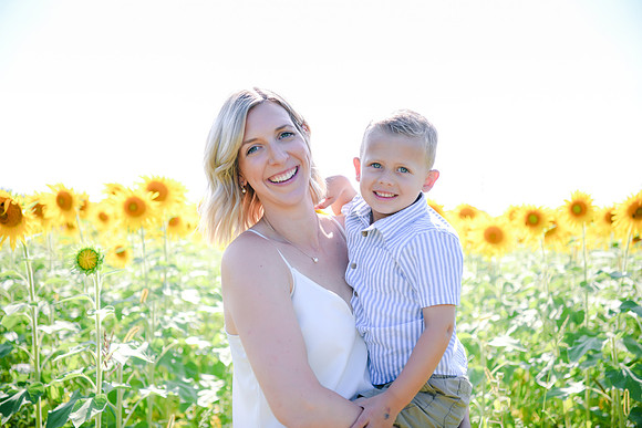 Sunflowers [Hutchinson] 027