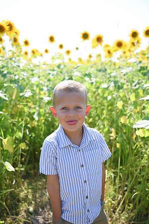Sunflowers [Hutchinson] 003
