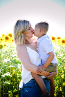 Sunflowers [Hutchinson] 019