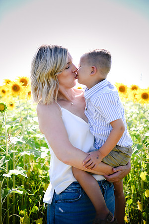 Sunflowers [Hutchinson] 019