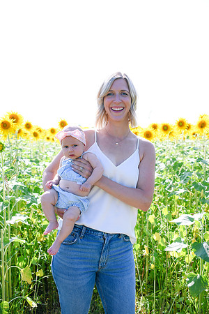 Sunflowers [Hutchinson] 037