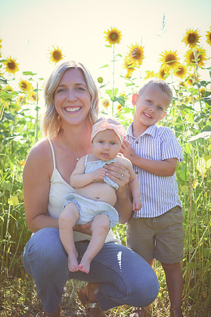 Sunflowers [Hutchinson] 069