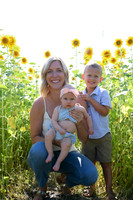Sunflowers [Hutchinson] 083