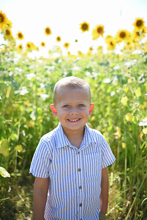 Sunflowers [Hutchinson] 004