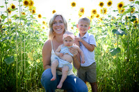 Sunflowers [Hutchinson] 087