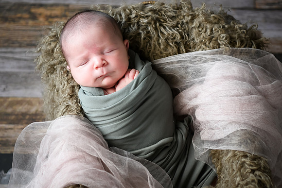 Arden [proofs]  014