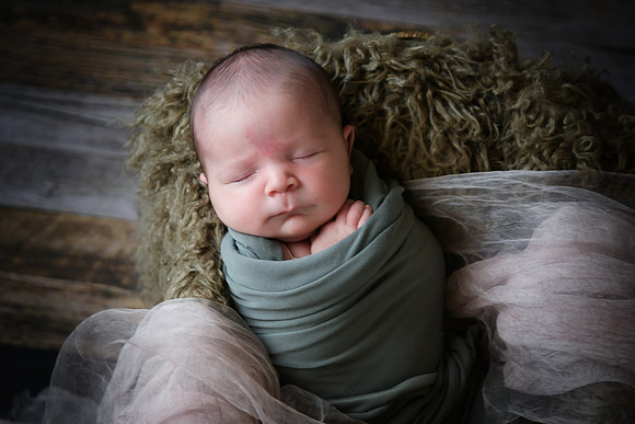 Arden [proofs]  030