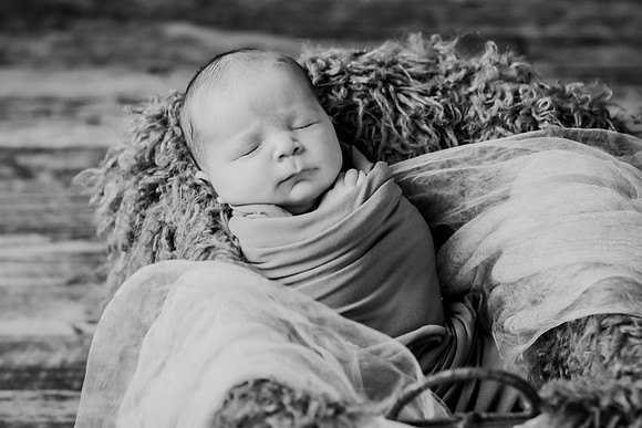 Arden [proofs]  054