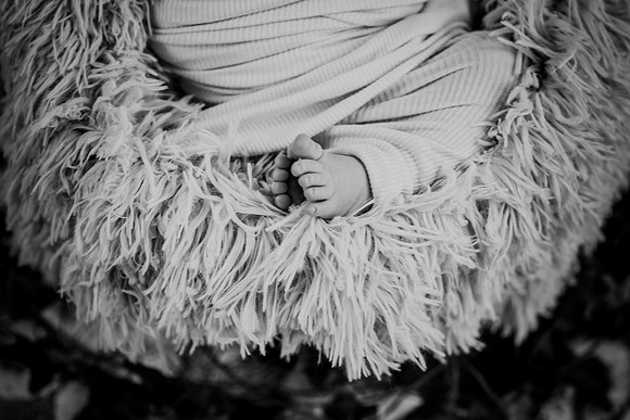Arden [proofs]  063