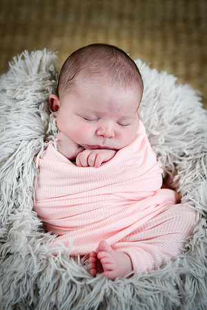 Arden [proofs]  073