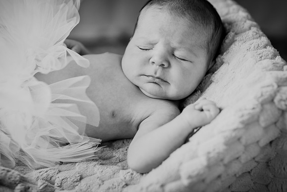 Arden [proofs]  096