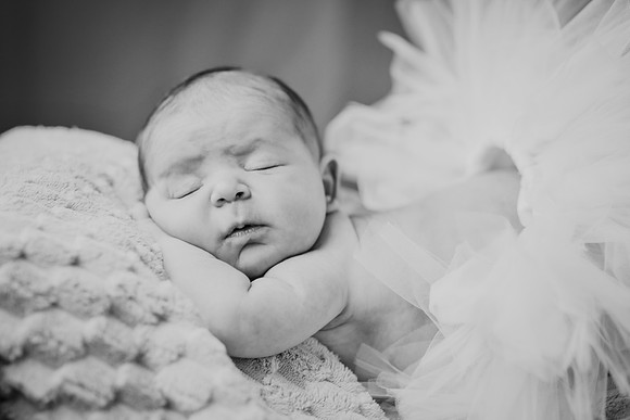 Arden [proofs]  118