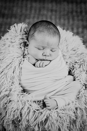 Arden [proofs]  074