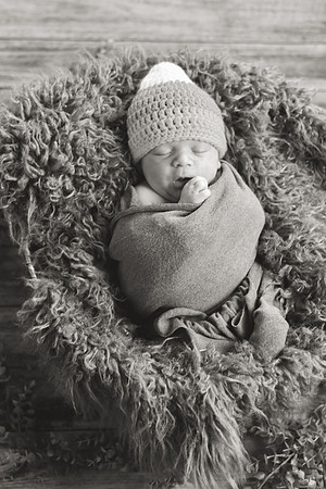 Carter [Newborn] 044