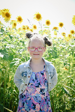 Sunflowers [twins] 04