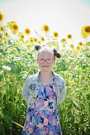 Sunflowers [twins] 05