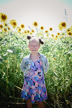 Sunflowers [twins] 02