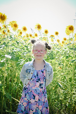 Sunflowers [twins] 06