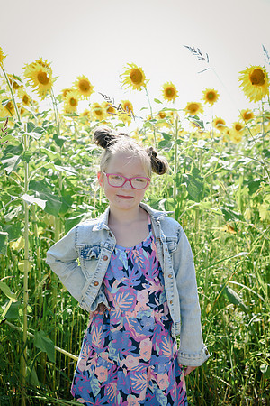 Sunflowers [twins] 07