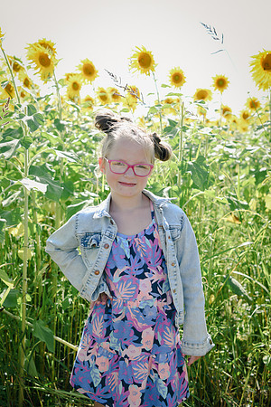 Sunflowers [twins] 08