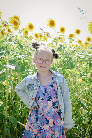 Sunflowers [twins] 09