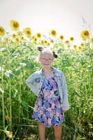 Sunflowers [twins] 10