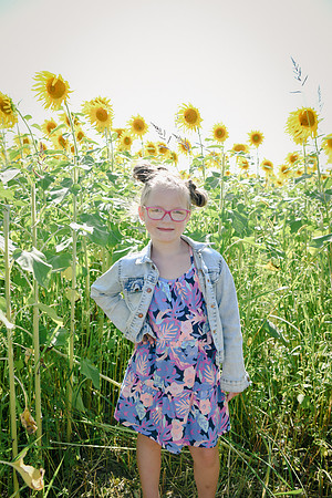 Sunflowers [twins] 10