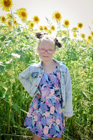 Sunflowers [twins] 12