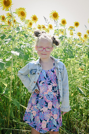 Sunflowers [twins] 12