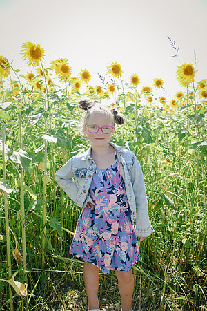 Sunflowers [twins] 11