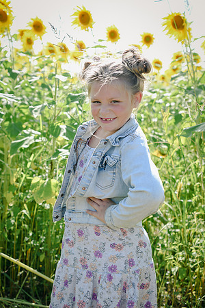 Sunflowers [twins] 14