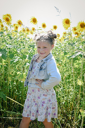 Sunflowers [twins] 16