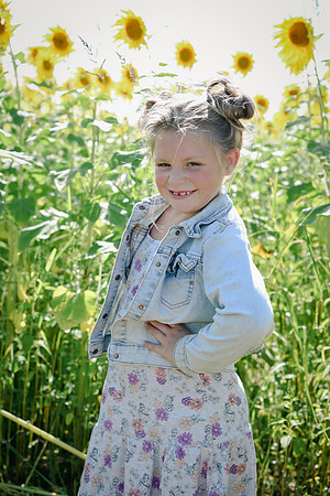 Sunflowers [twins] 20