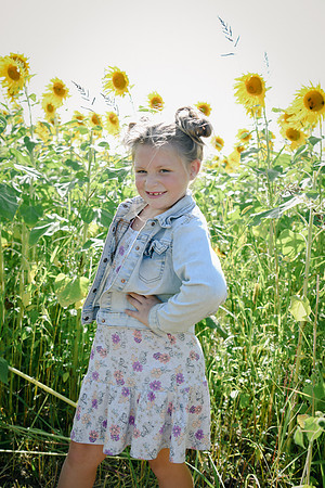Sunflowers [twins] 22