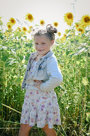 Sunflowers [twins] 24