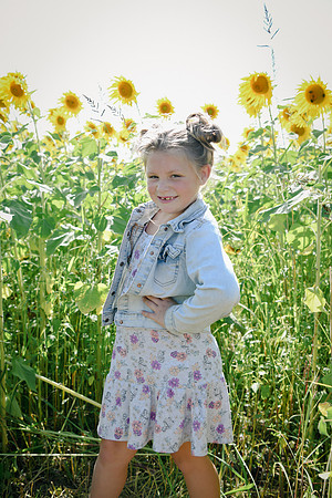 Sunflowers [twins] 23