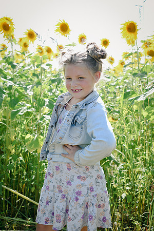 Sunflowers [twins] 25