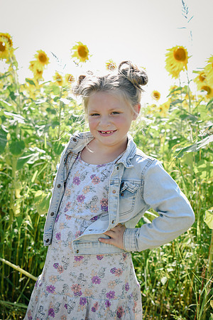 Sunflowers [twins] 26