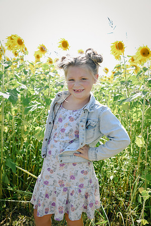 Sunflowers [twins] 27