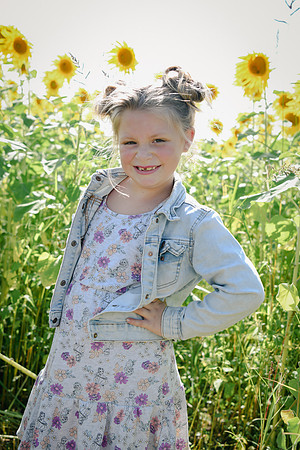 Sunflowers [twins] 28