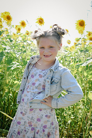 Sunflowers [twins] 29