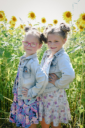 Sunflowers [twins] 30