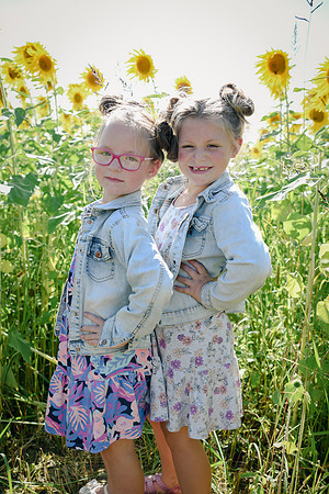 Sunflowers [twins] 31