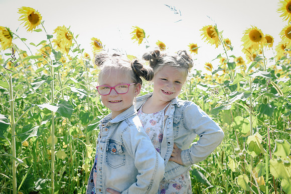 Sunflowers [twins] 33