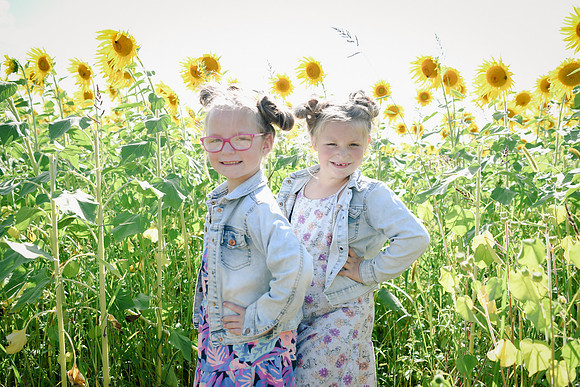 Sunflowers [twins] 35