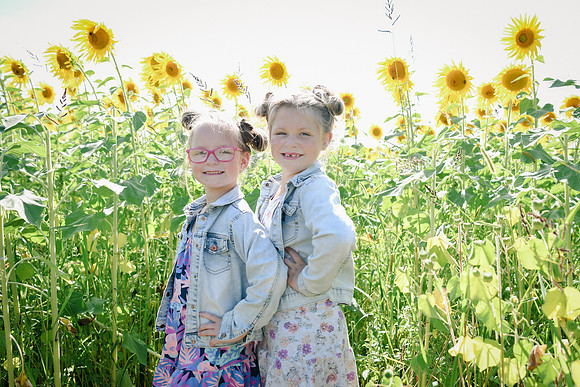 Sunflowers [twins] 36