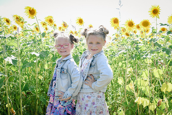 Sunflowers [twins] 37