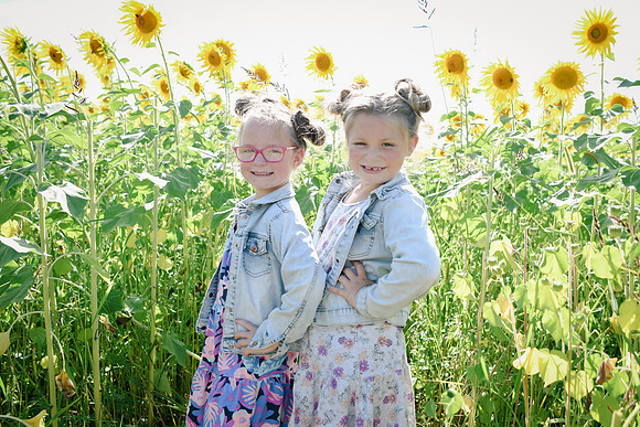 Sunflowers [twins] 38